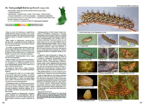 Suomen Perhoset ja toukat - opas tunnistamiseen, elintapoihin ja kasvatukseen, Kimmo Silvennoinen  4/2024